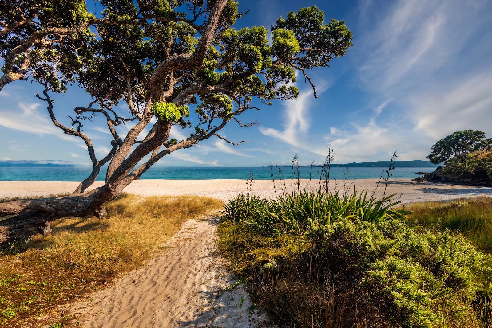 Otama Beach - Image 1