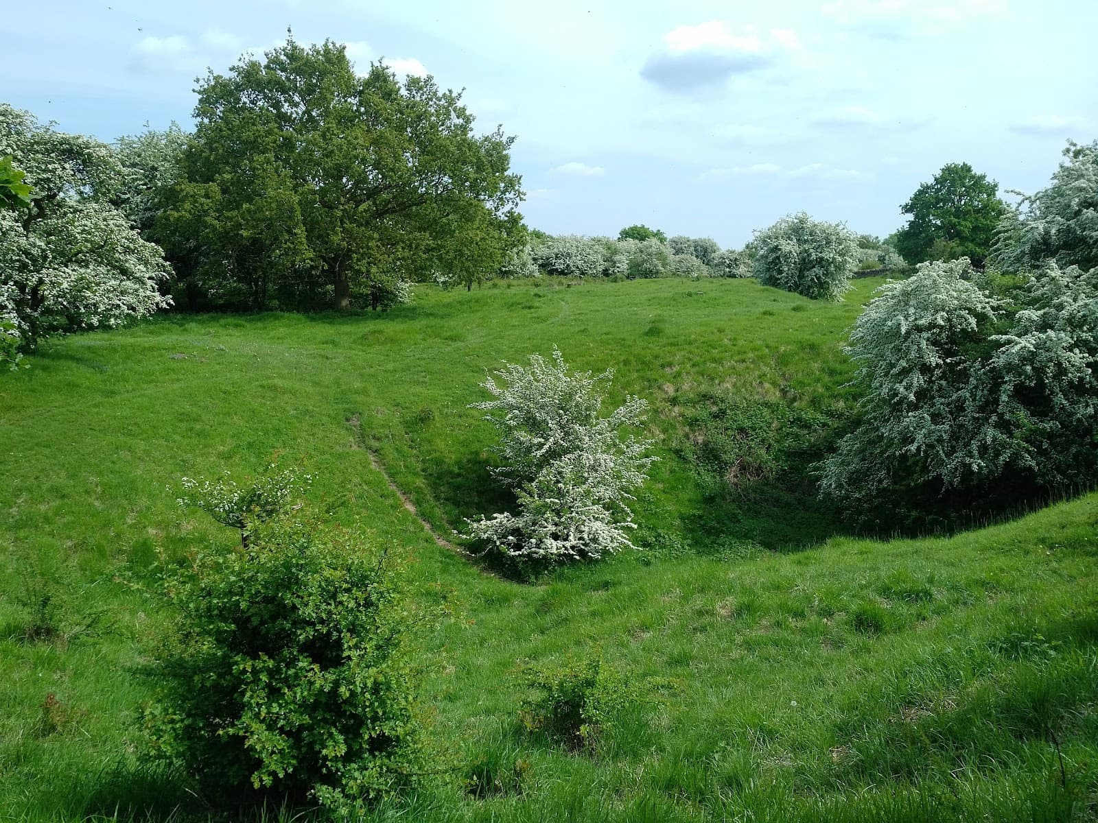 Clipsham Old Quarry Nature Reserve - Image 1