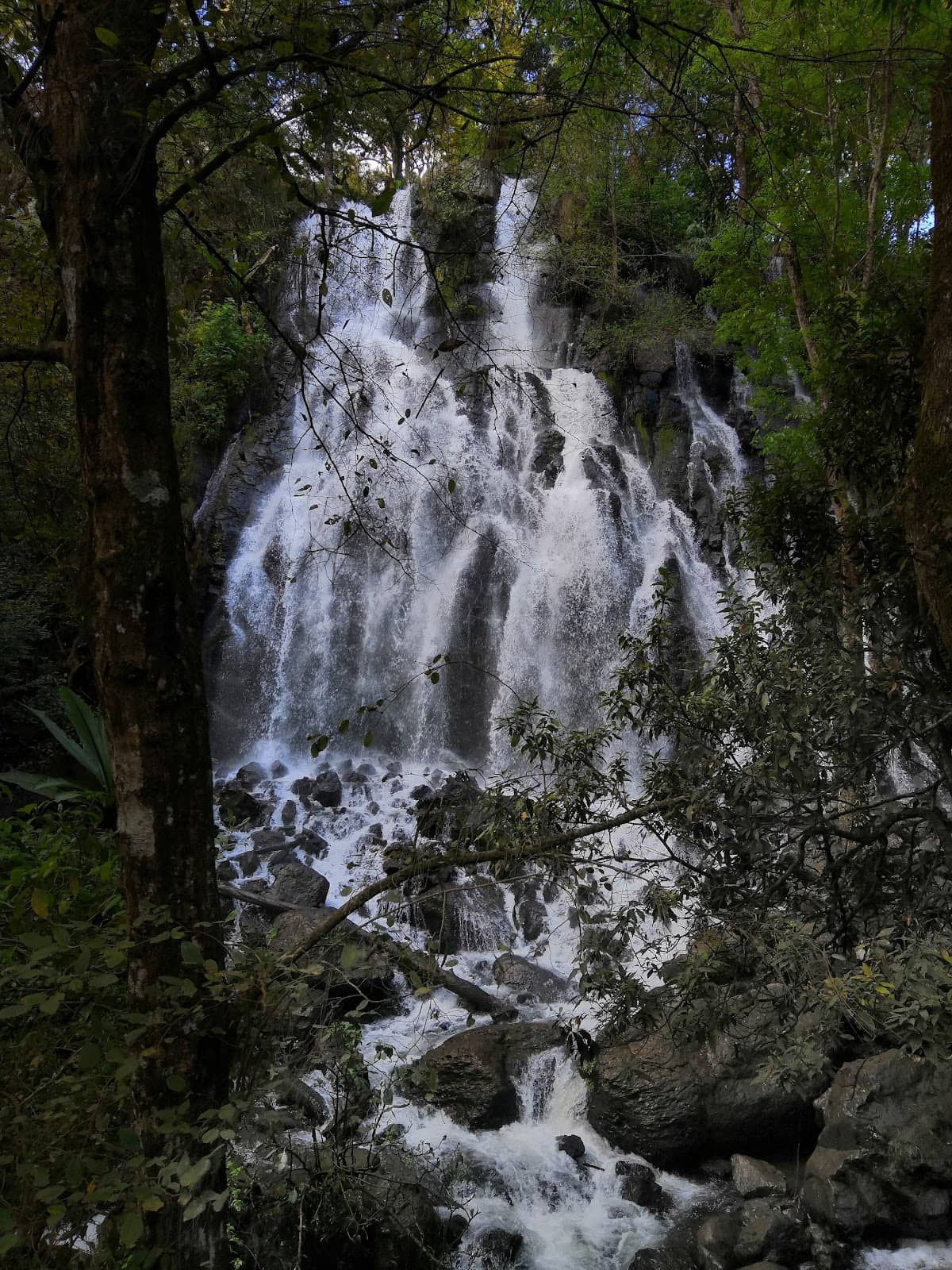 Autos, Motos y Rocanrol Festival