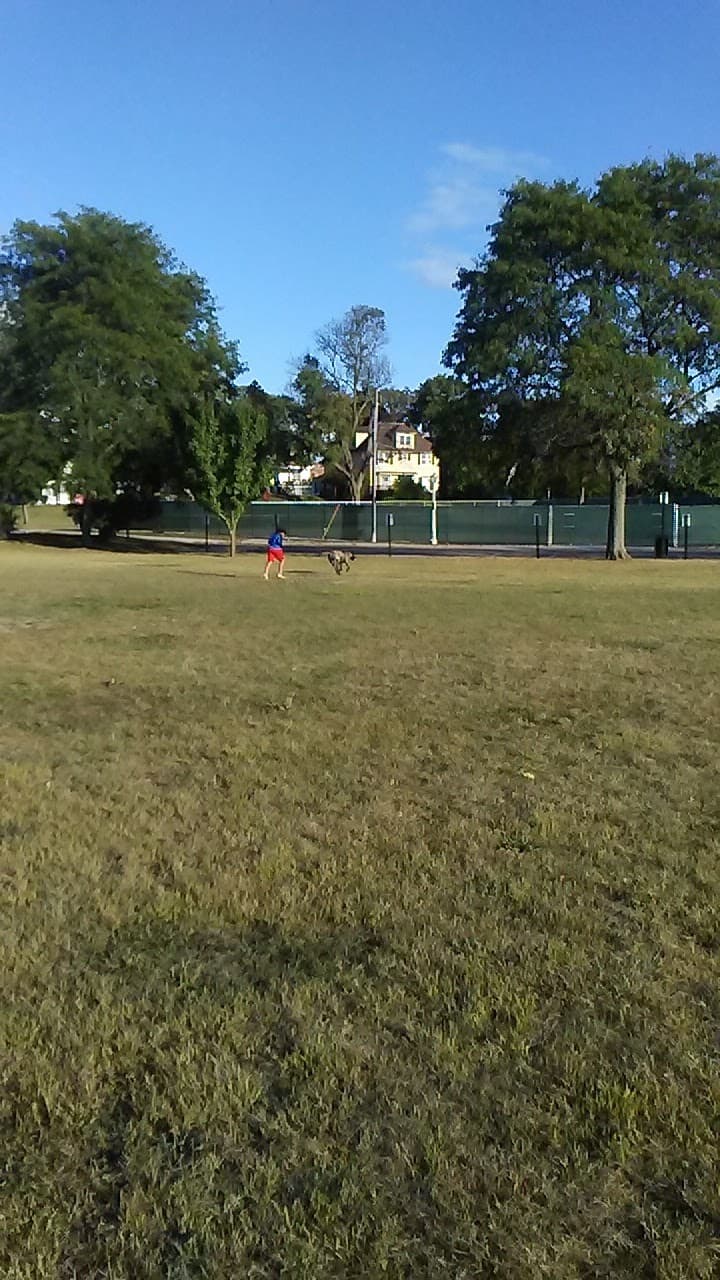 Valley Court Park - Image 1