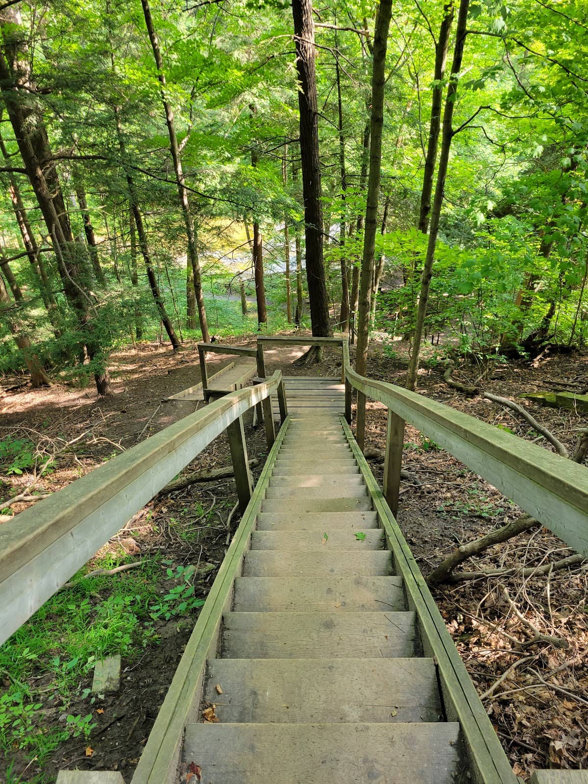 Challenging Elevation Changes