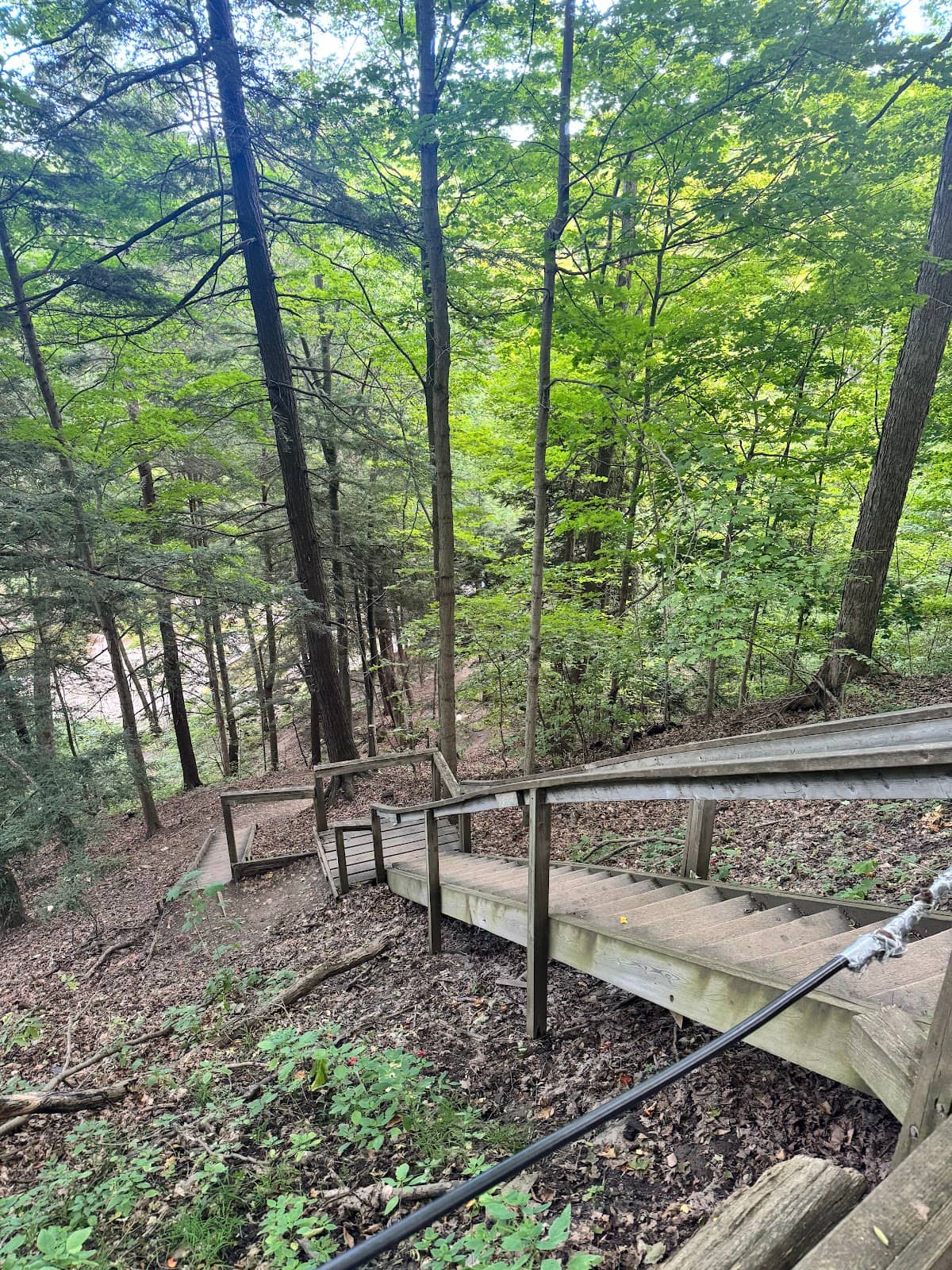Vertical photo