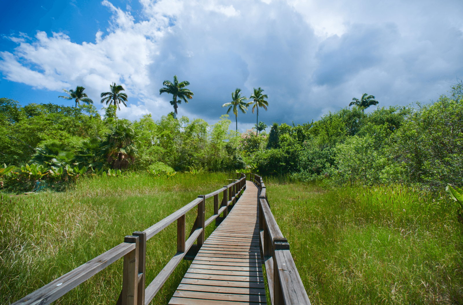 Jardin d'Eden Saint-Gilles - Image 1