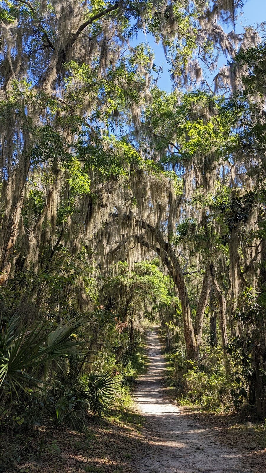 Fort Caroline National Memorial - Image 1