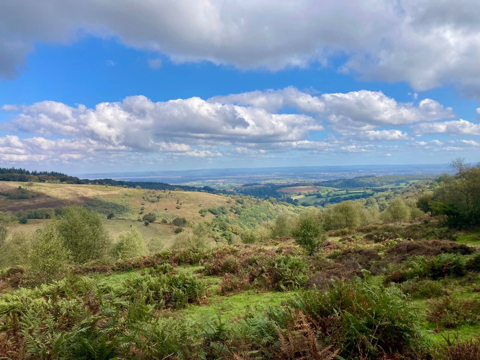 Panoramic Vistas