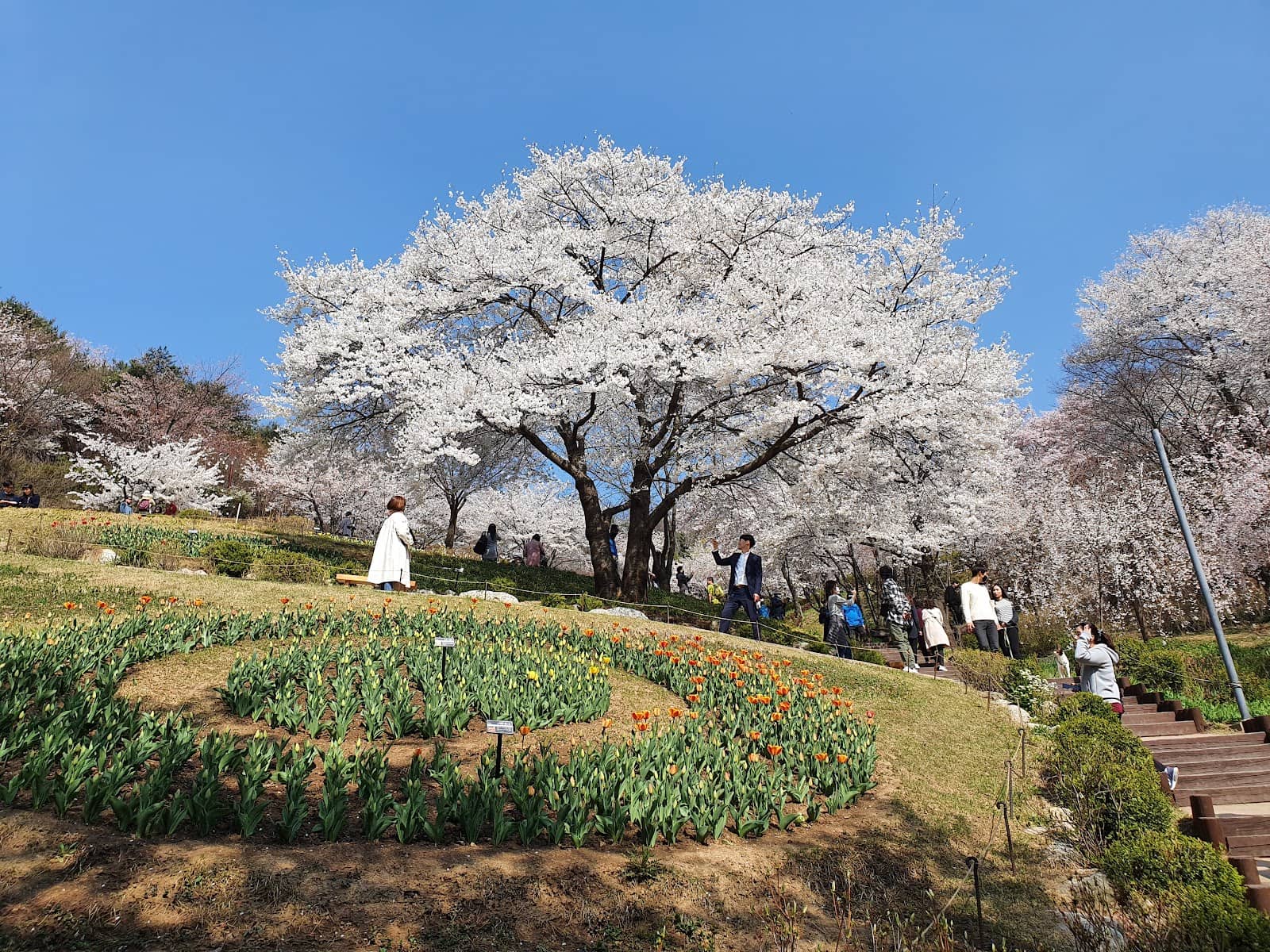 Scenic Views Near PokPo Cafe