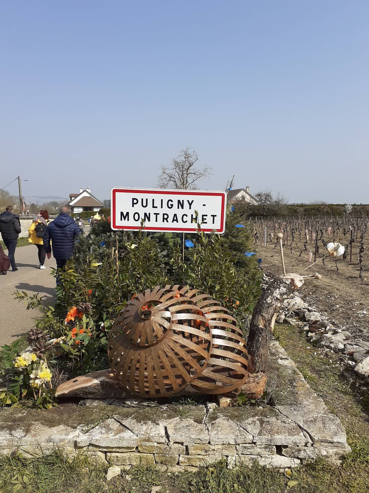 Premier Cru Vineyards