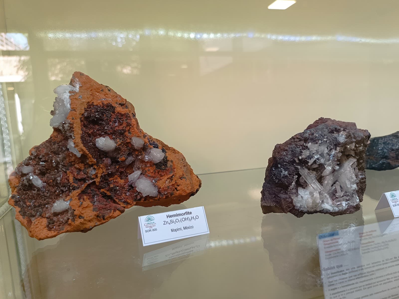 UTAD Geology Museum - Image 1