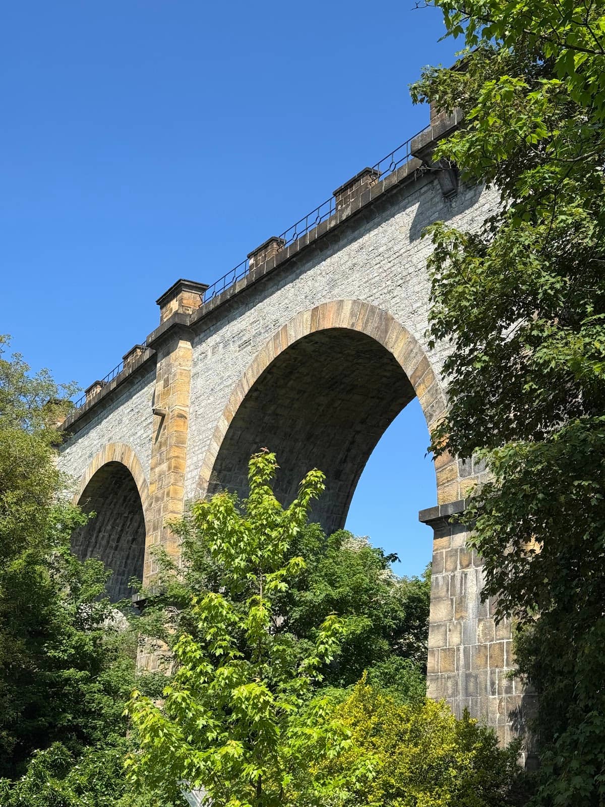 Panoramic City Views