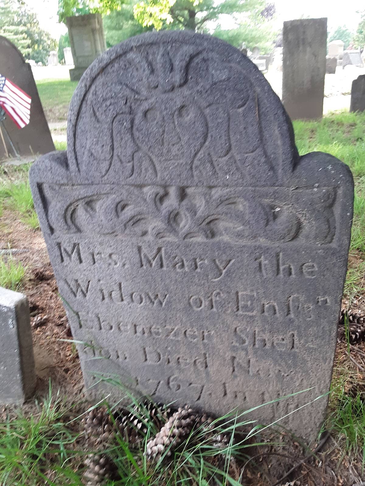 Peaceful Walking Paths