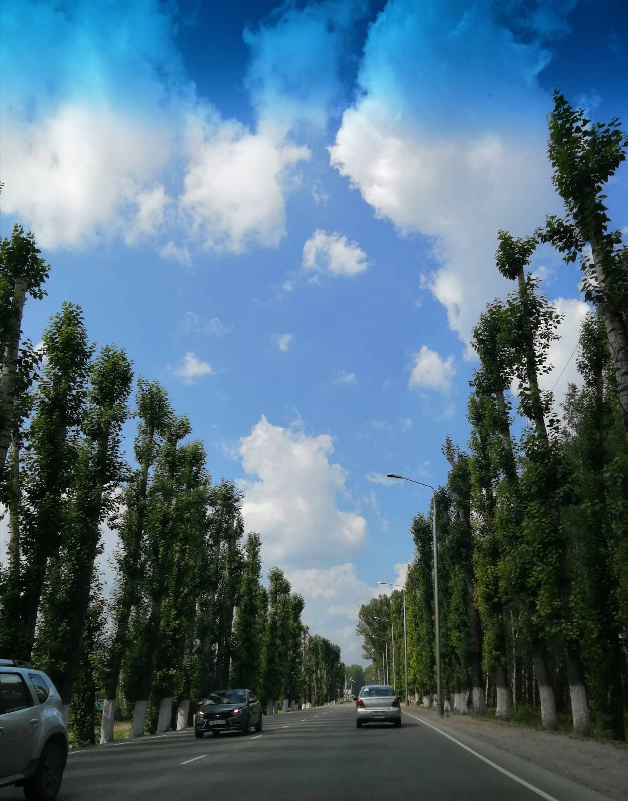 Architectural Marvels