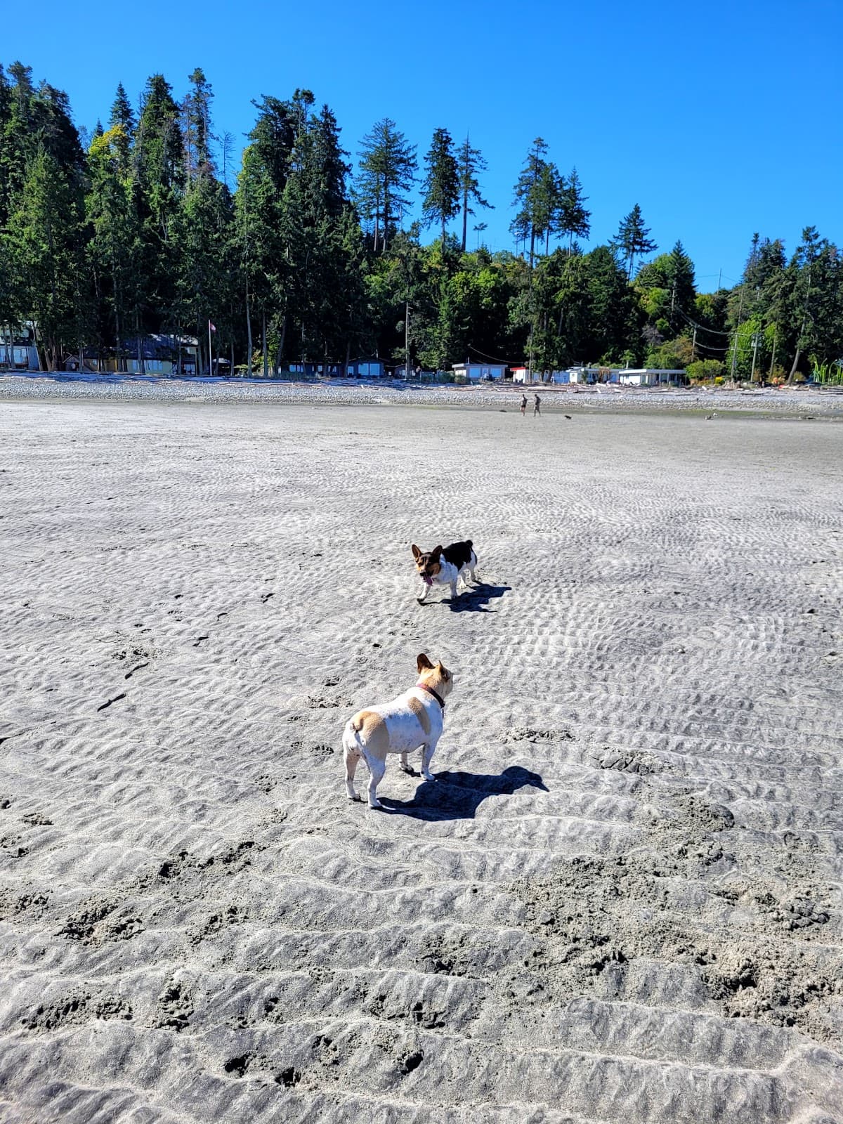 Kye Bay Beach - Image 1