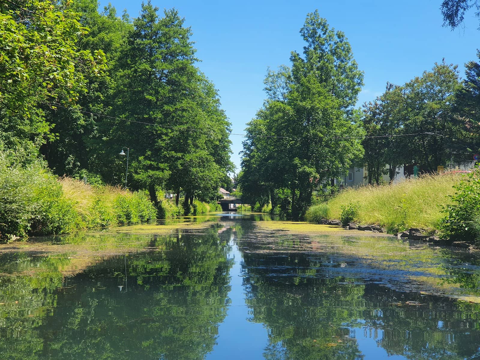 Architectural Bridges