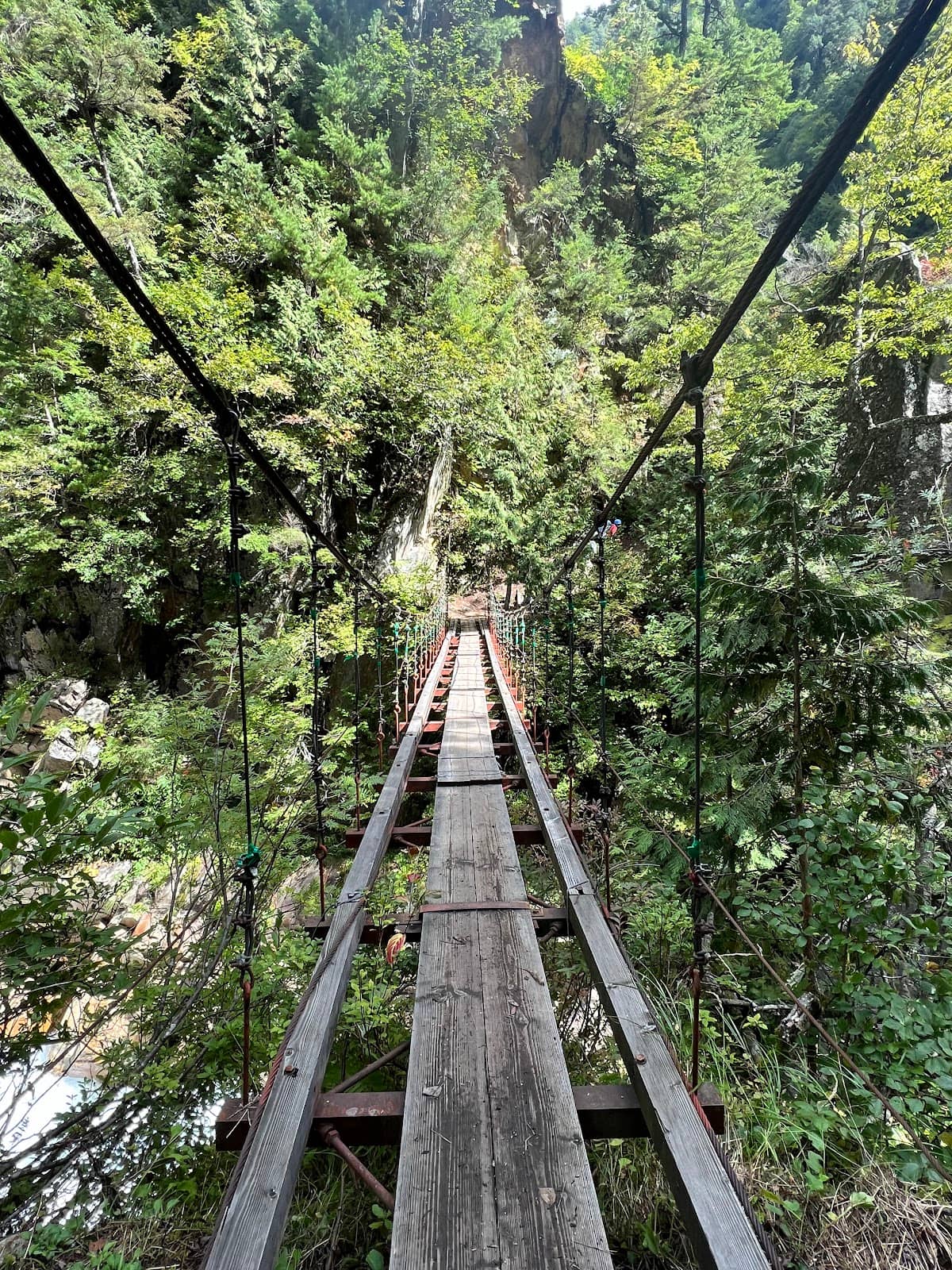 Vertical photo