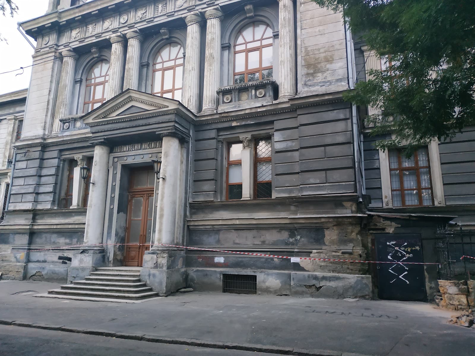 Museum Anatomicum - Image 1