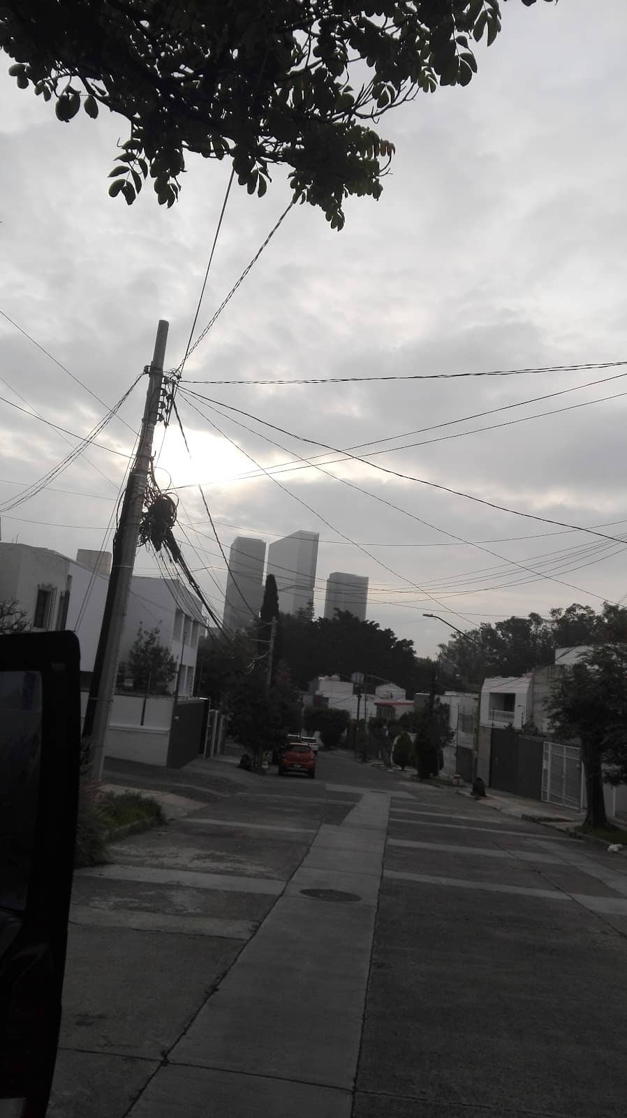 Vertical photo