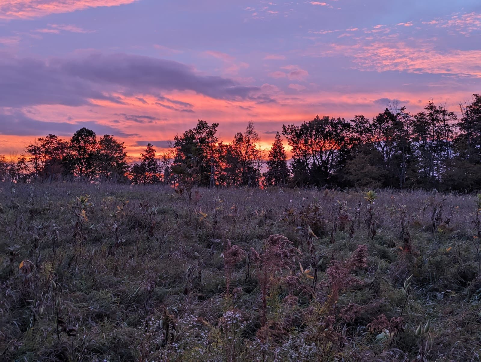Scotsdale Farm - Image 1
