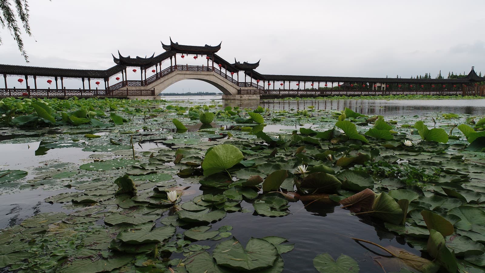 Museum of Ancient Bricks and Tiles (Jinxi) - Image 1