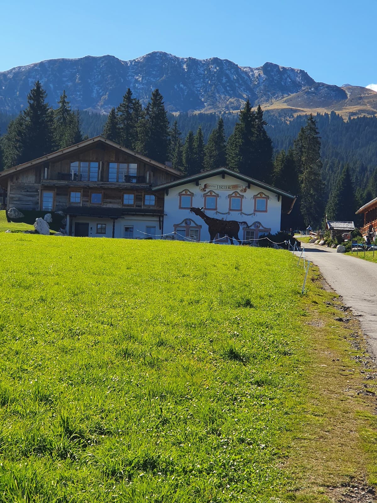 Compatsch (Compaccio) - Image 1