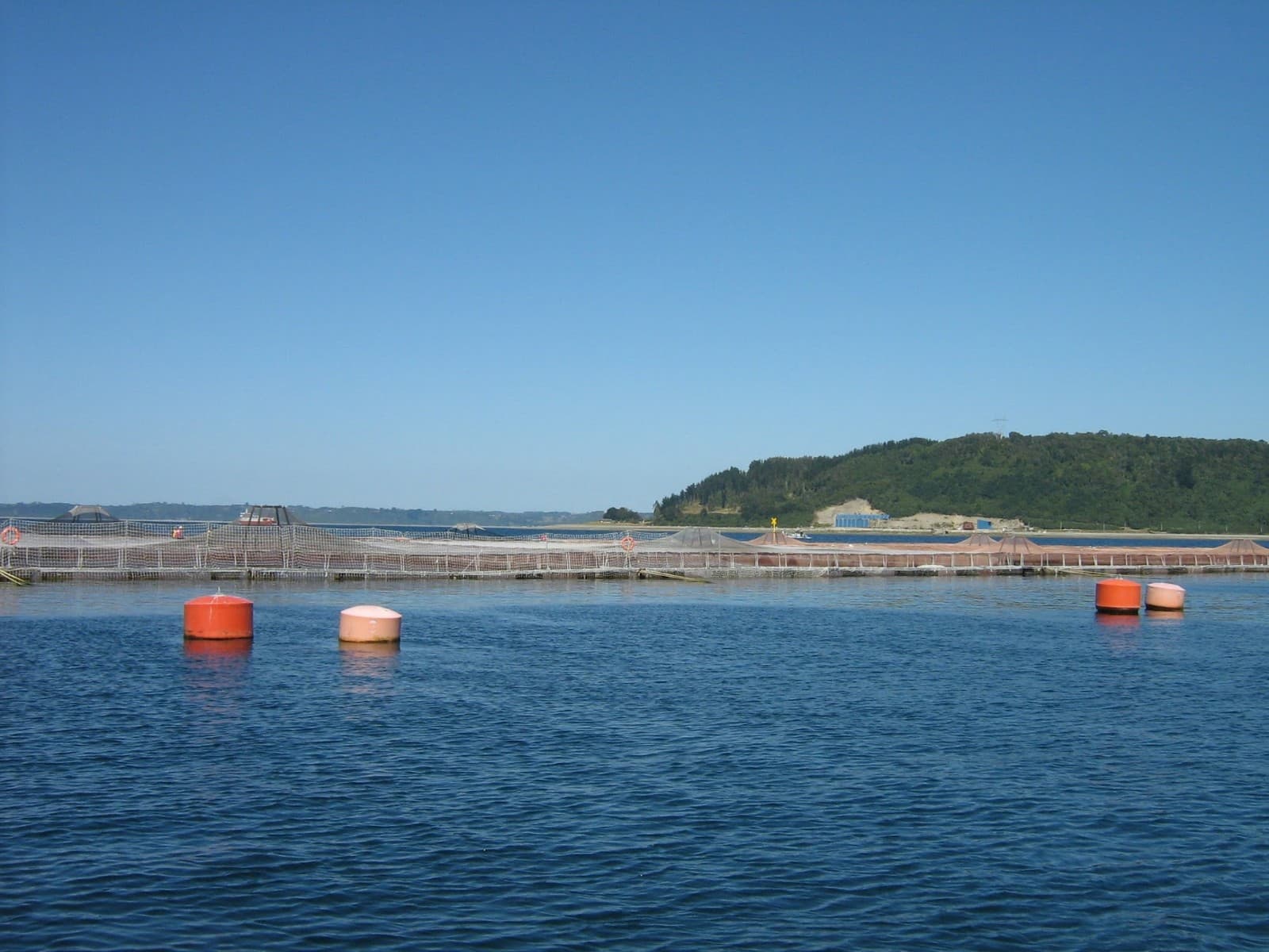 Isla Maillén - Image 1