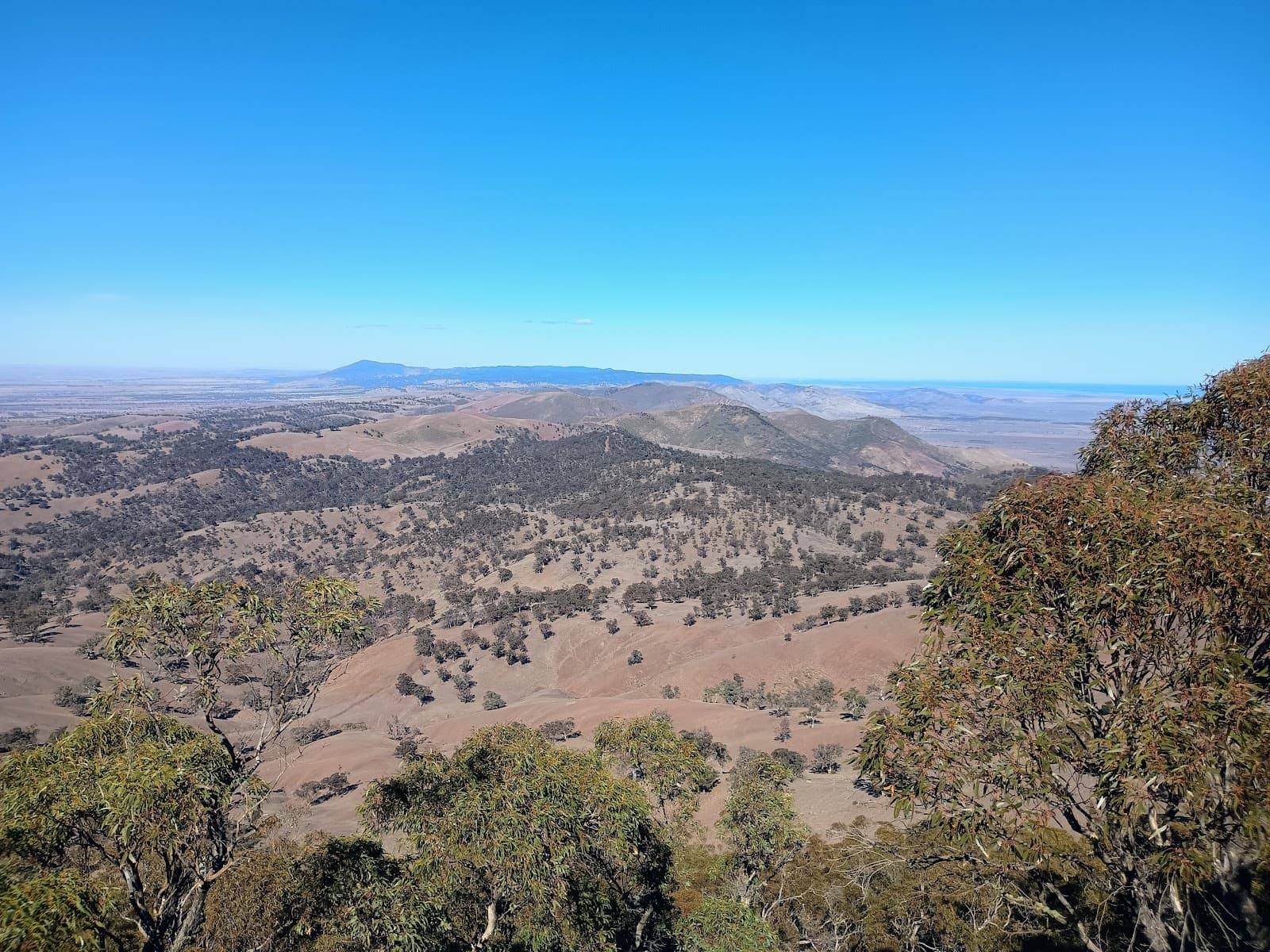 Mount Brown Conservation Park - Image 1