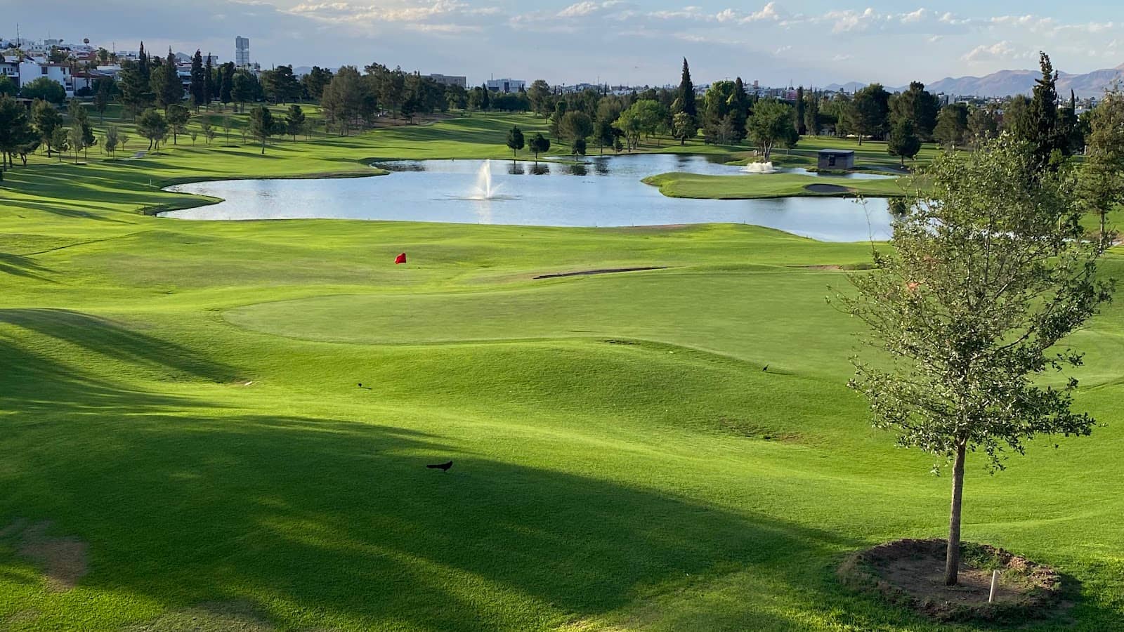 Tierra Mia Restaurante