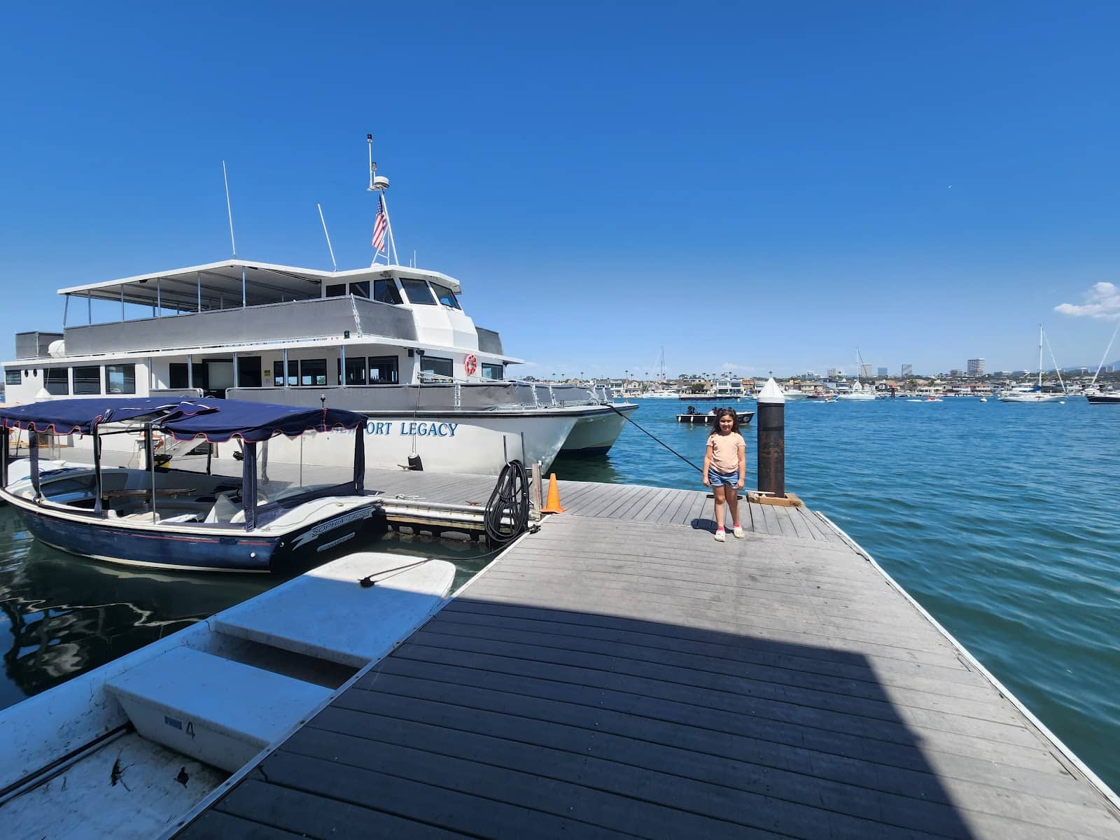 Frozen Banana Stands