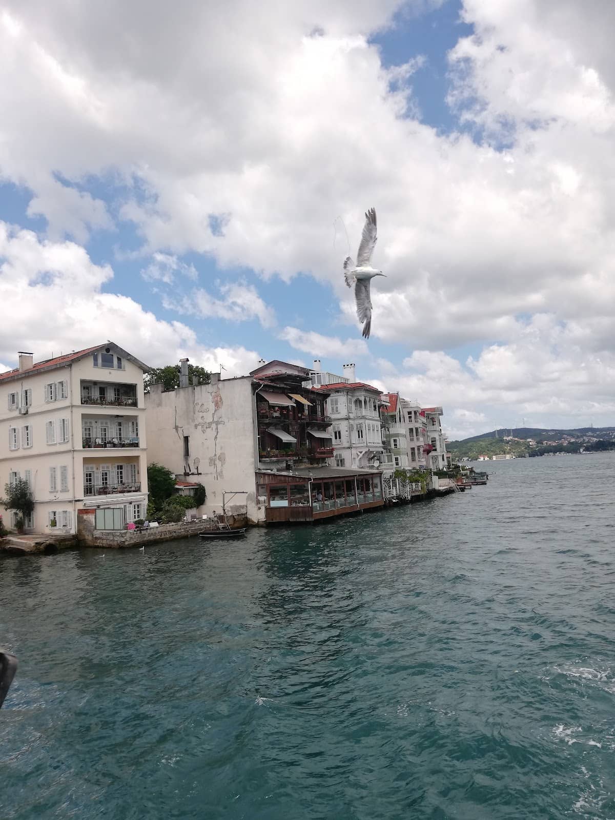 Vertical photo
