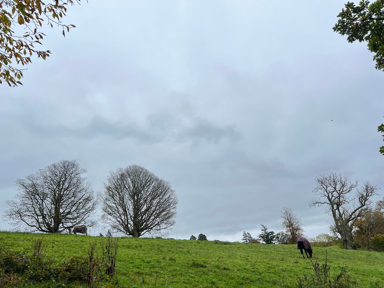 Overtoun Bridge - Image 1