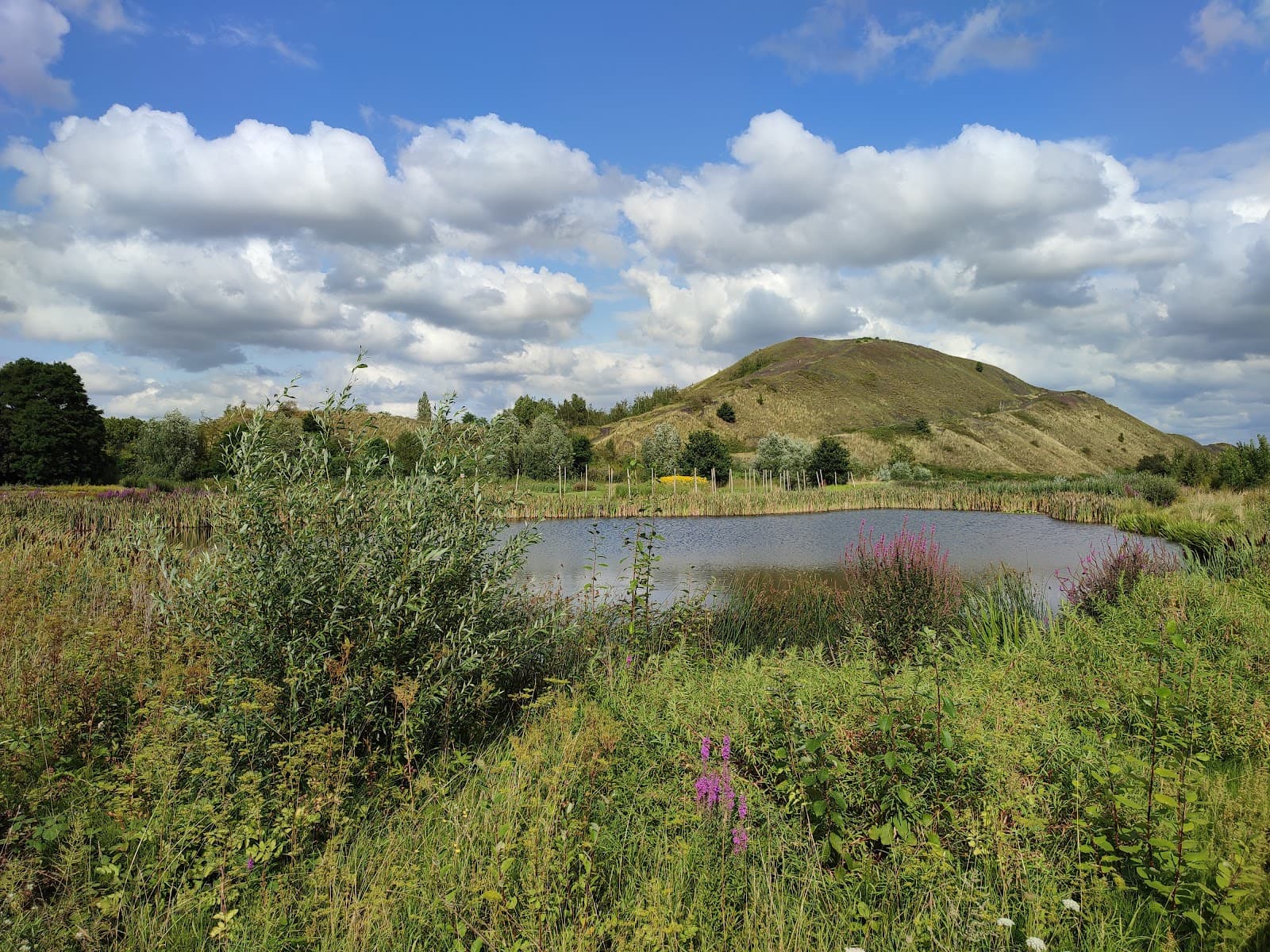 Parc des Îles (Hénin-Carvin) - Image 1