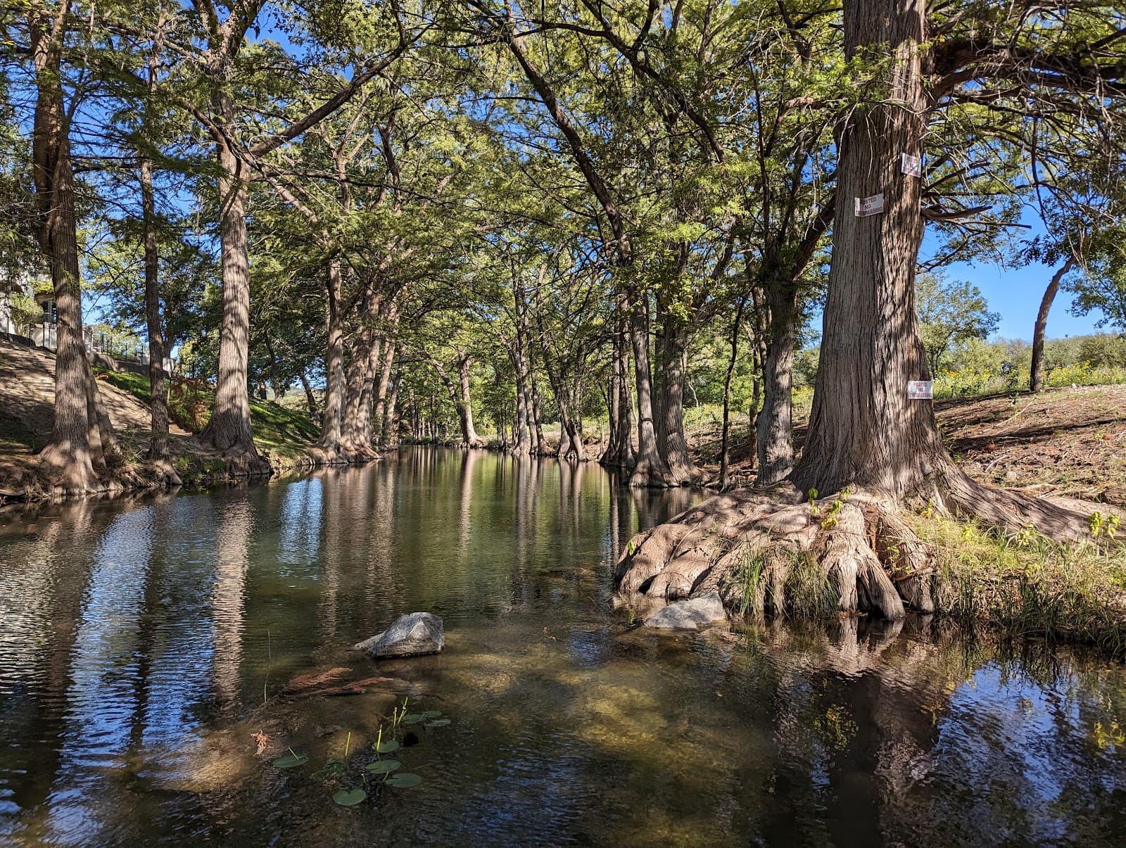 Schumacher Crossing Park - Image 1