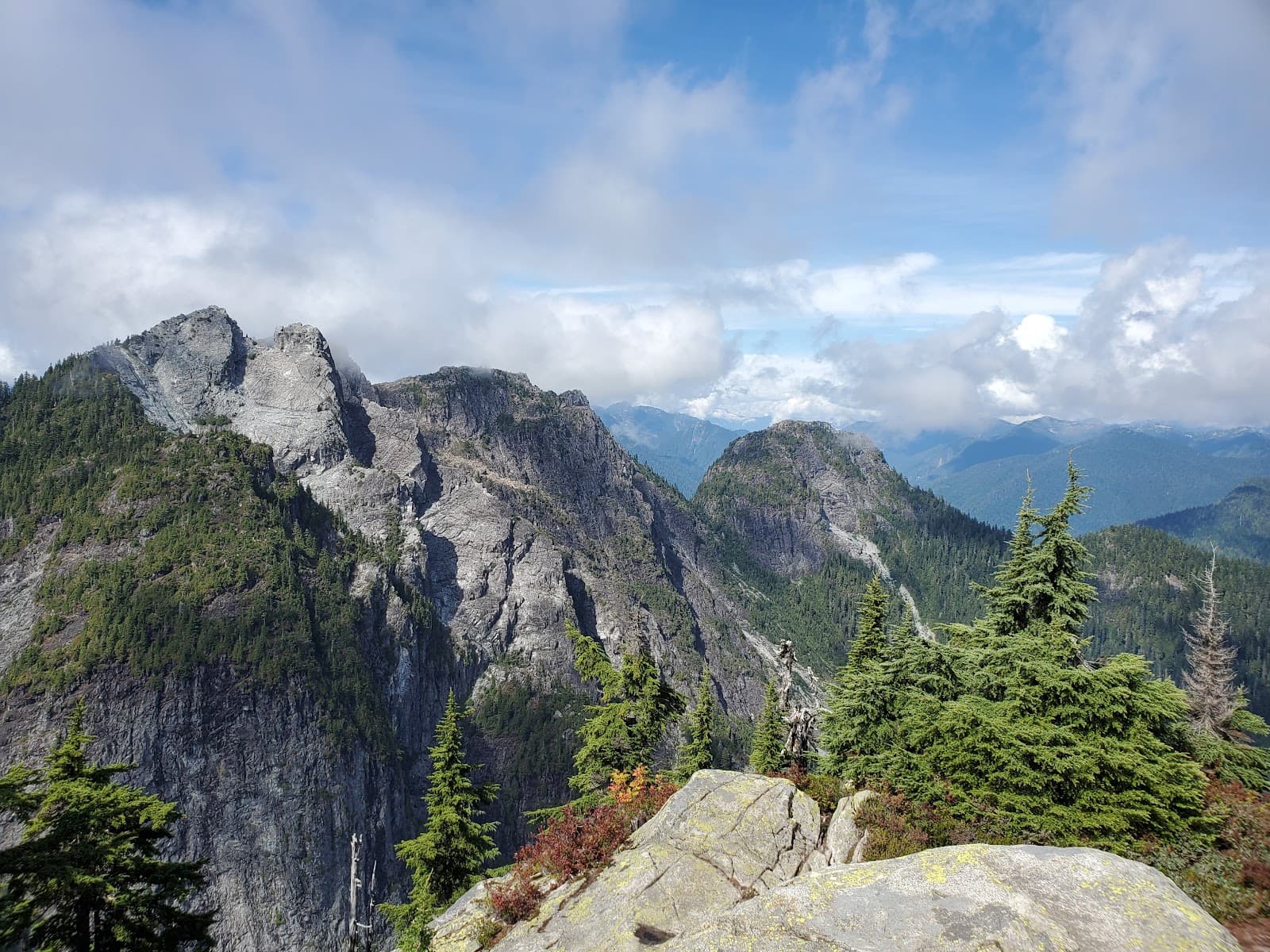 Goat Mountain Grouse Alpine - Image 1