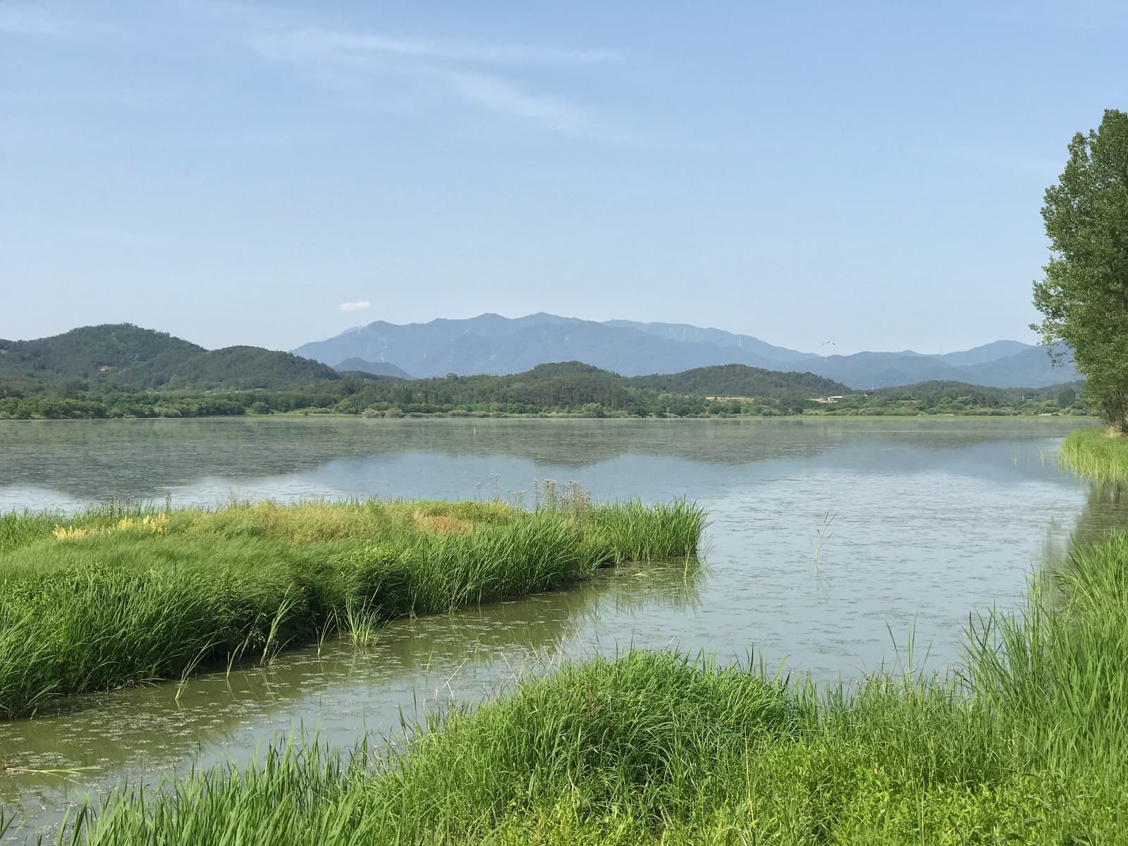 Upo Wetlands (Changnyeong) - Image 1