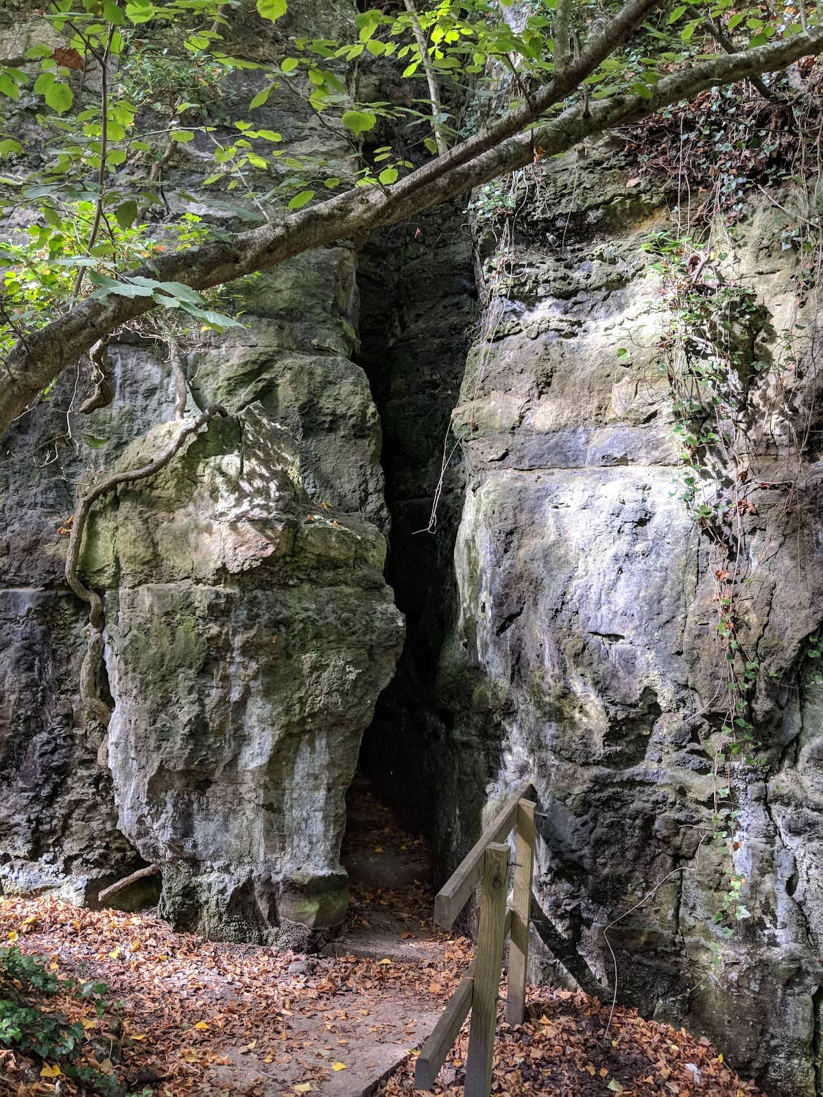 Scenic Looped Walk