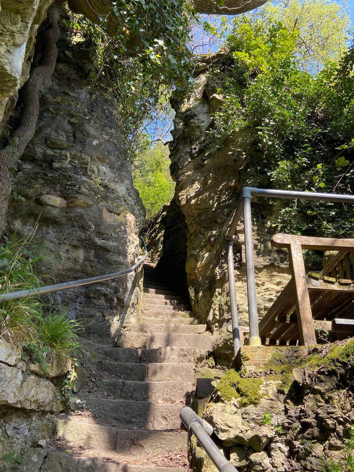 Vertical photo