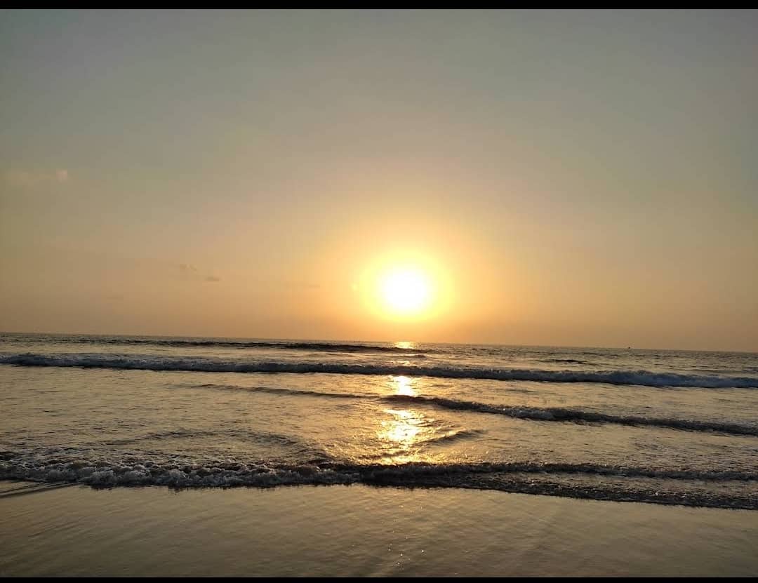 Dolphin Spotting Potential