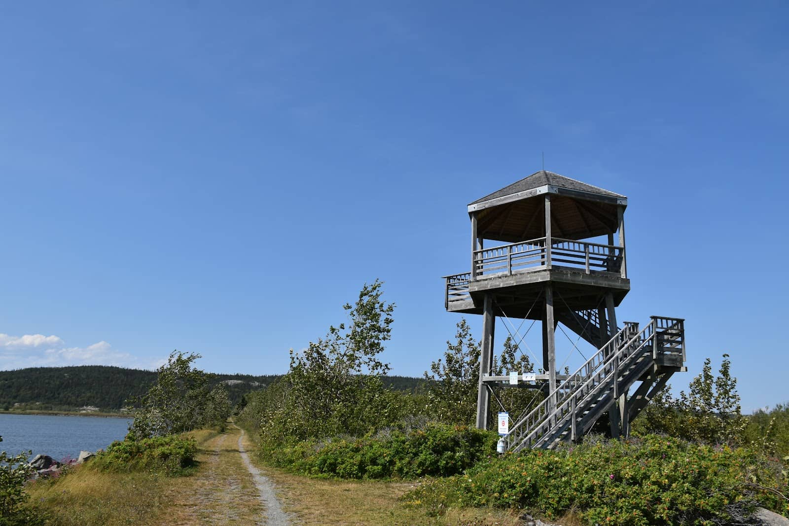 Aurora Watching Paradise