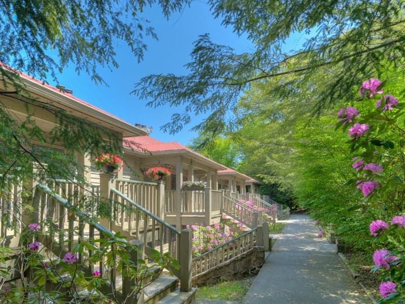 Mountain Lake Lodge & Bald Knob - Image 1