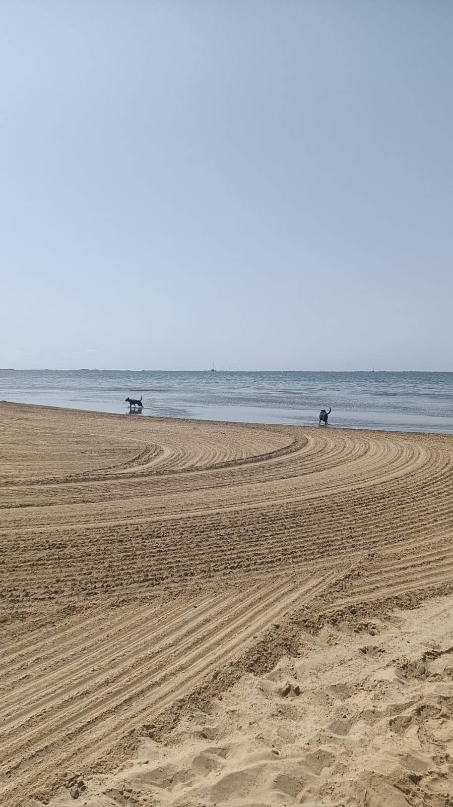 Warm Summer Waters