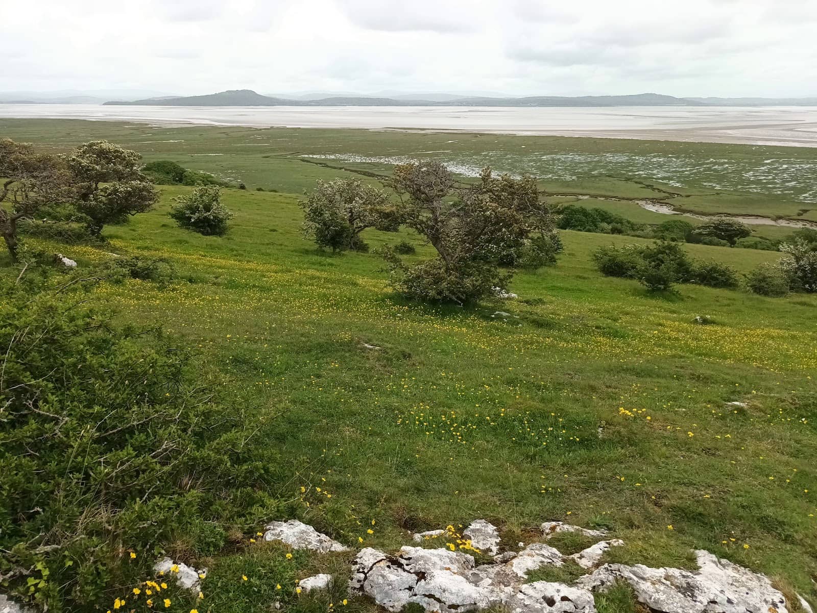 Wildlife Spotting Opportunities