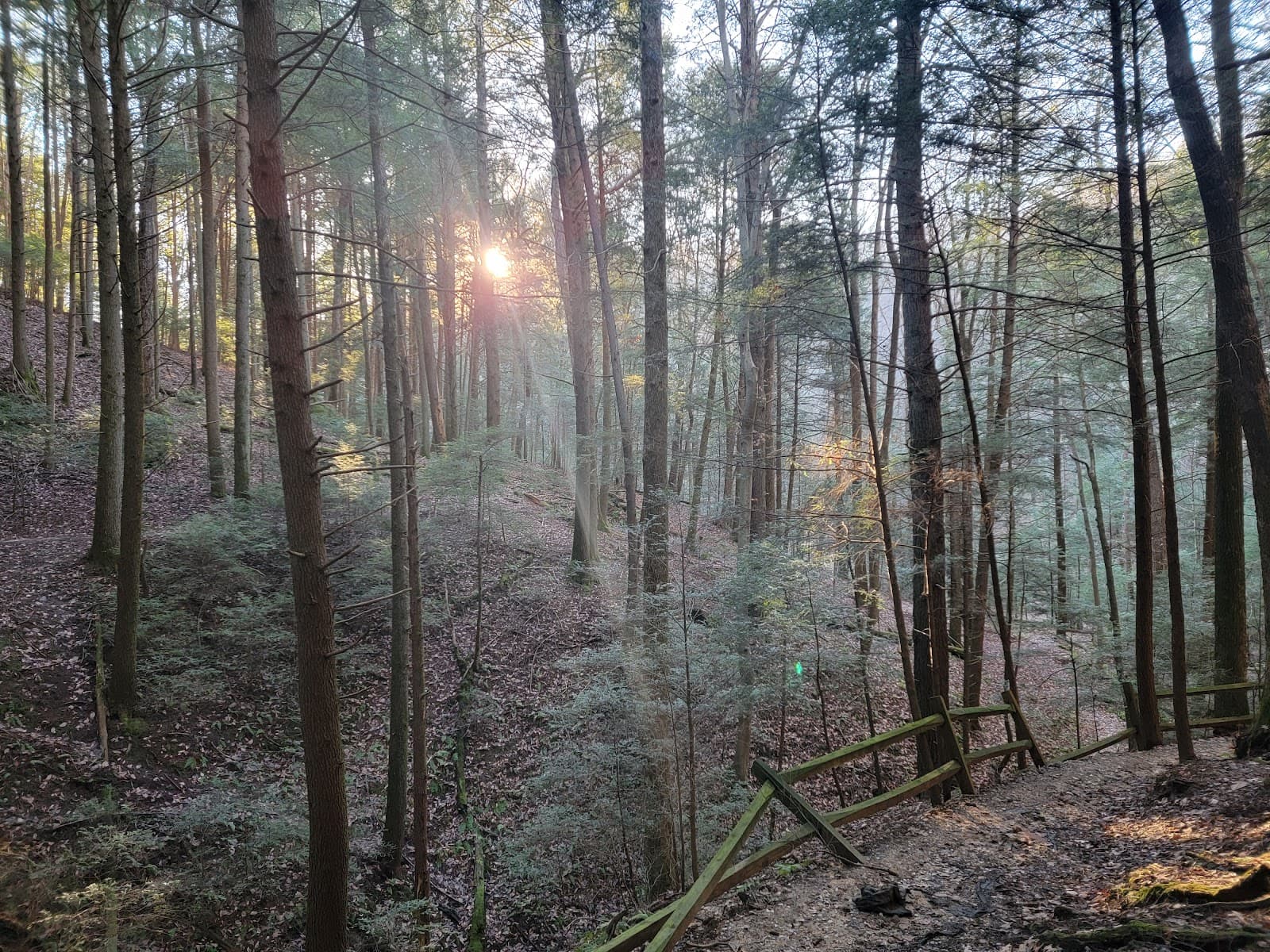 Chapel Cave (21 Horse Cave) - Image 1