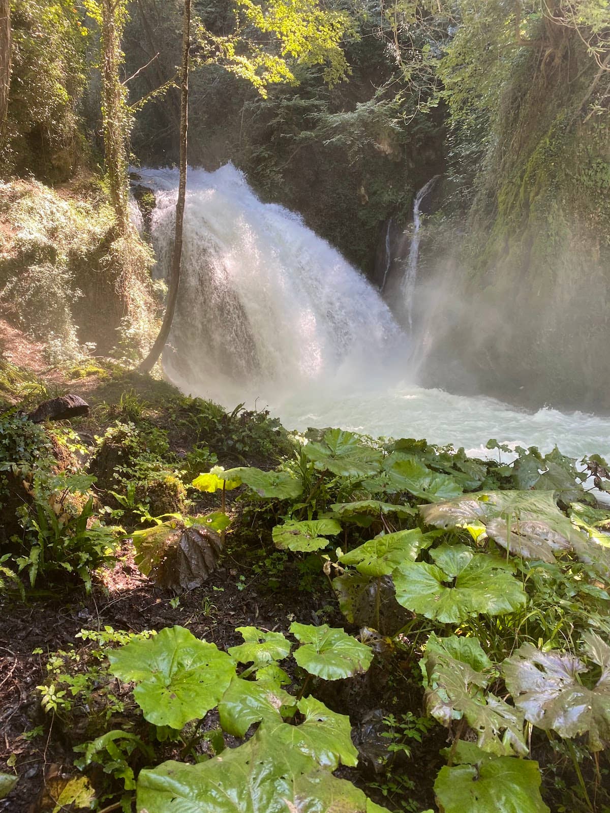 Vertical photo