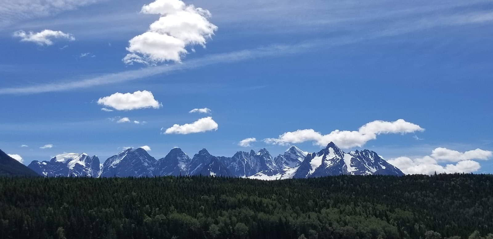 Local Vegetable Stands