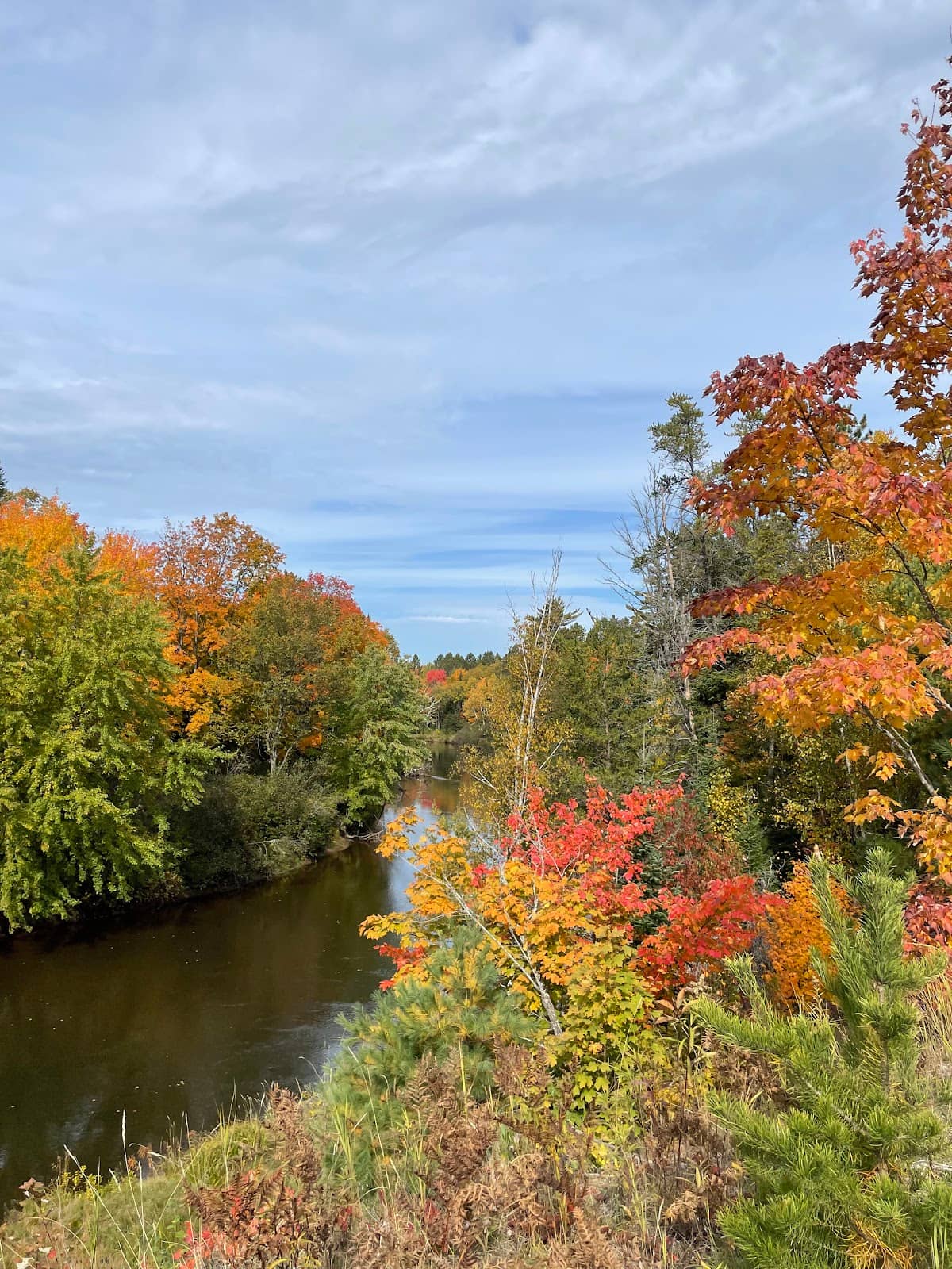 Autumn River Views
