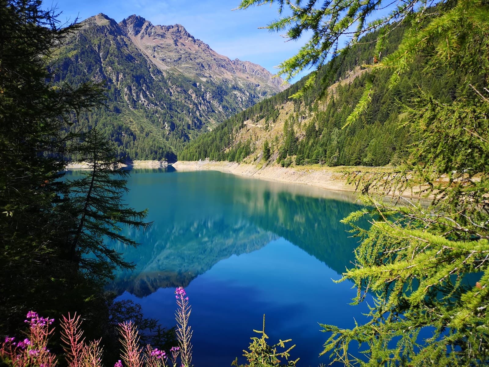 Lago di Pian Palù - Image 1