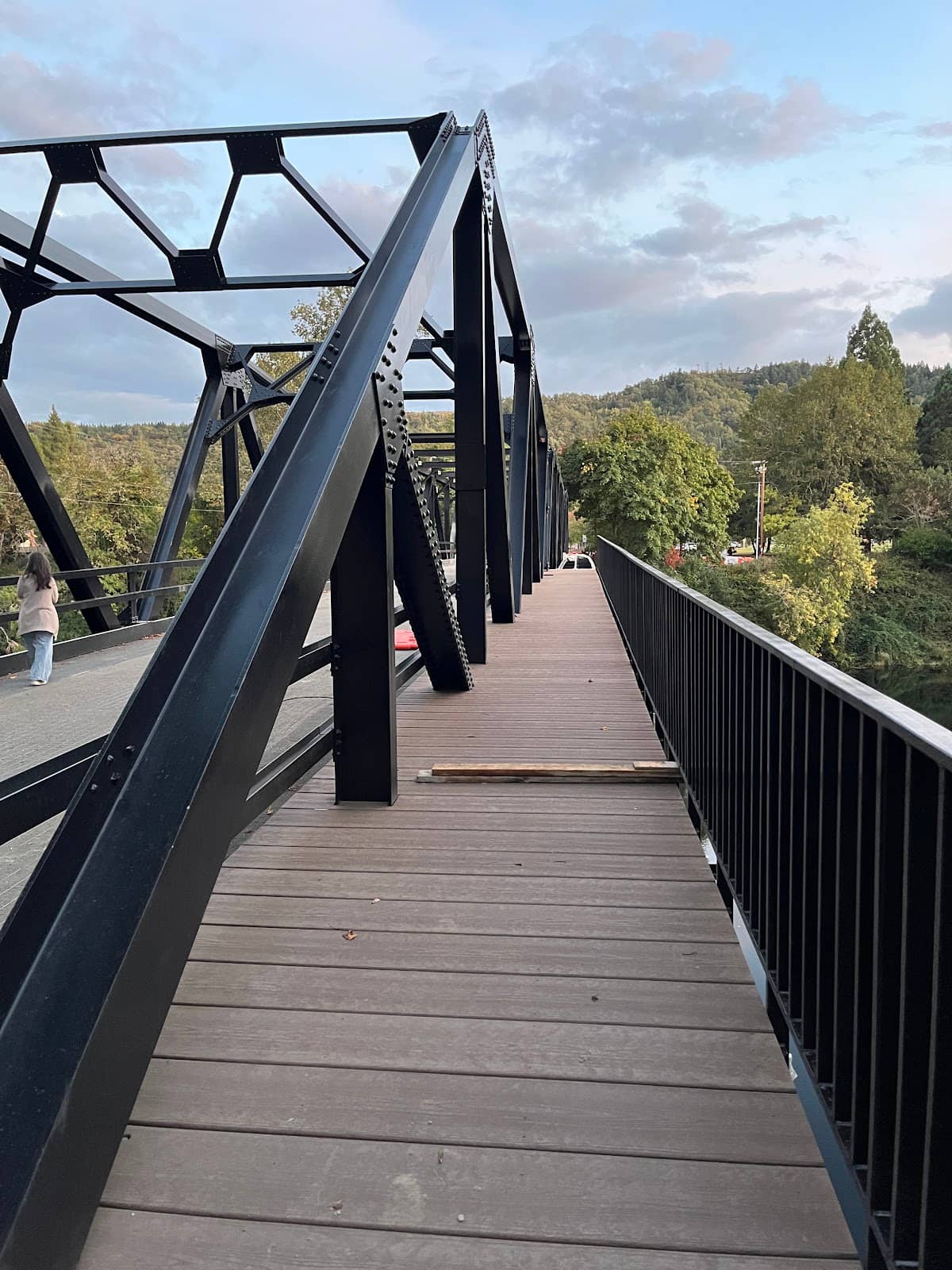 Umpqua River Views