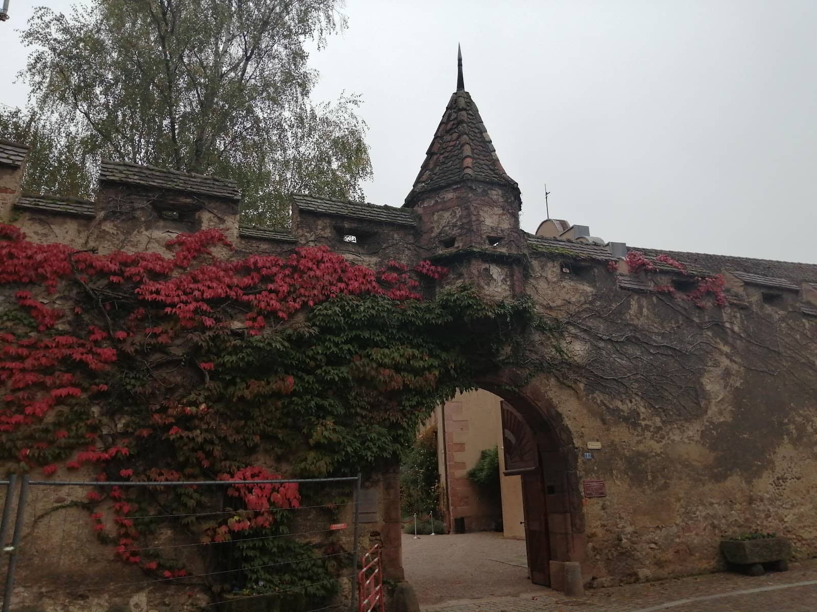 Vertical photo