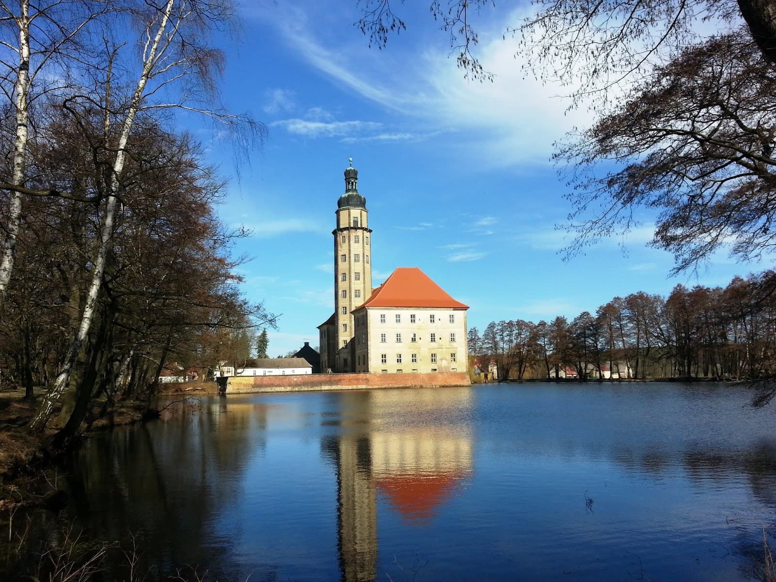 Düben Heath Nature Park Germany - Image 1