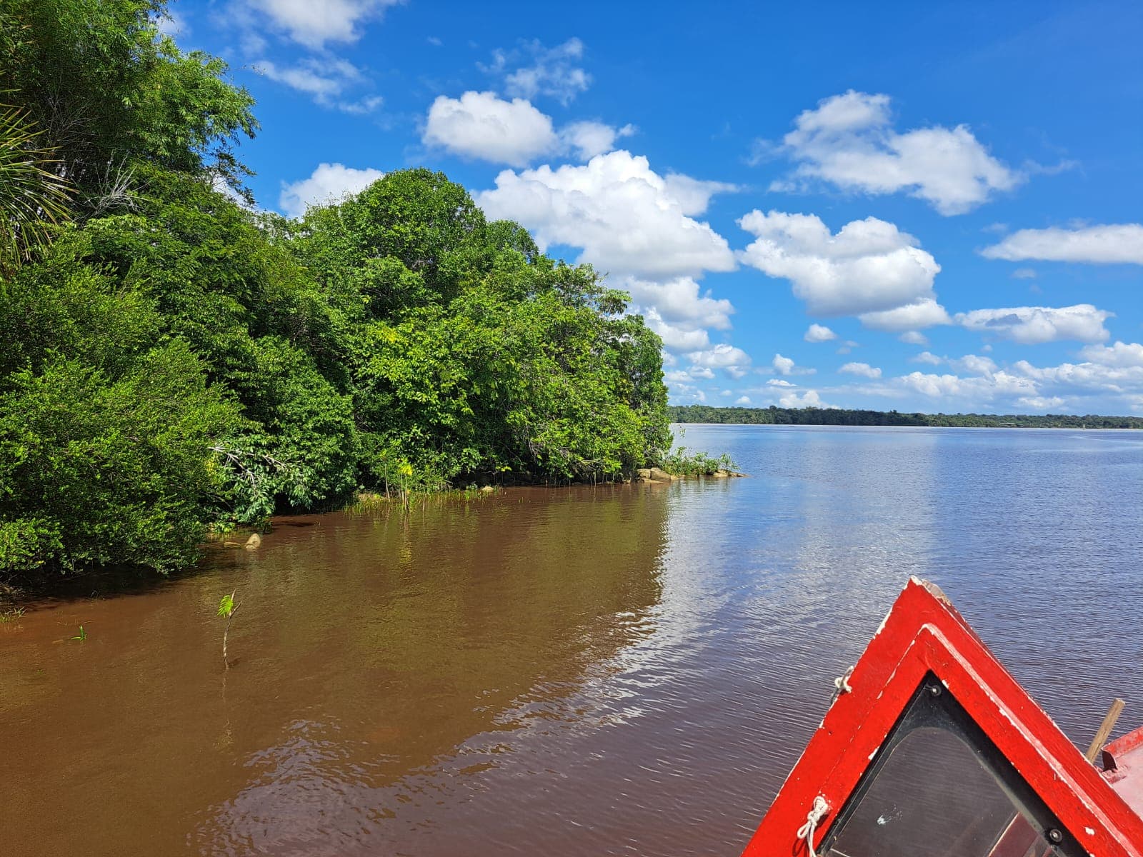 Essequibo River Island Hopping - Image 1