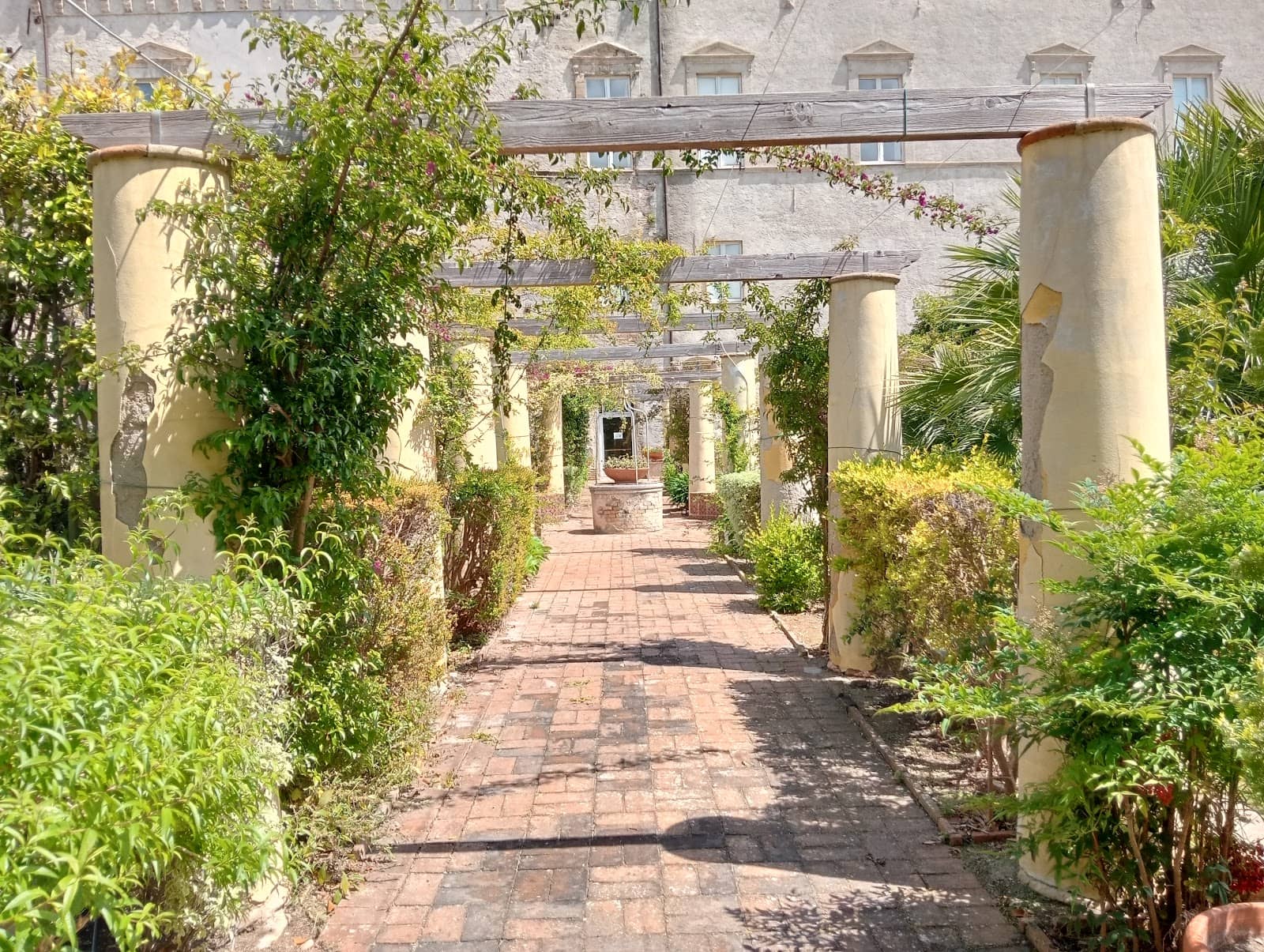 Diverse Botanical Collection